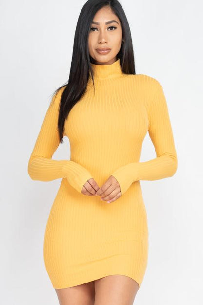 Ribbed Mock Neck Bodycon Mini Dress - Capella Apparel Wholesale