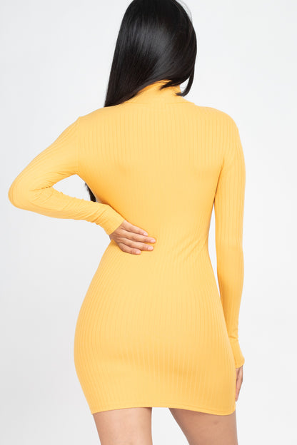 Ribbed Mock Neck Bodycon Mini Dress (CAPELLA) - Capella Apparel