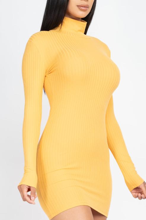 Ribbed Mock Neck Bodycon Mini Dress - Capella Apparel Wholesale