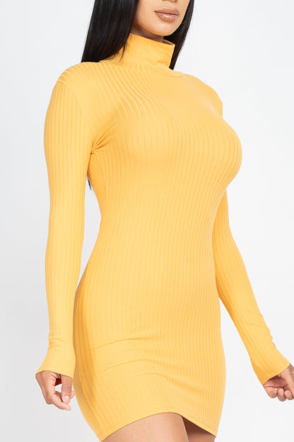 Ribbed Mock Neck Bodycon Mini Dress (CAPELLA) - Capella Apparel