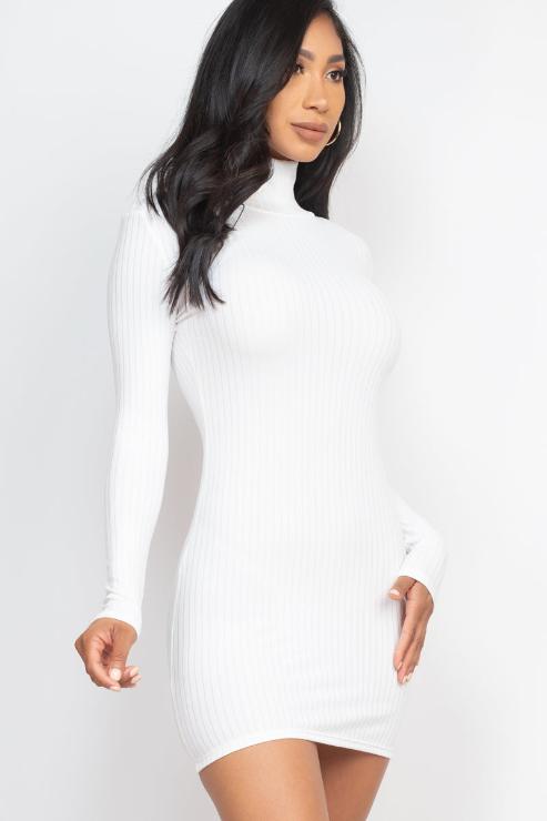 Ribbed Mock Neck Bodycon Mini Dress - Capella Apparel Wholesale