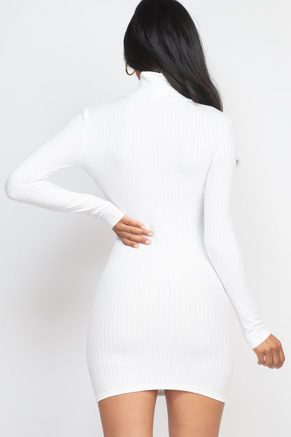 Ribbed Mock Neck Bodycon Mini Dress (CAPELLA) - Capella Apparel