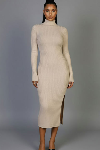 Sweater-Knit Fuzzy Turtle Neck Split Thigh Dress (CAPELLA)