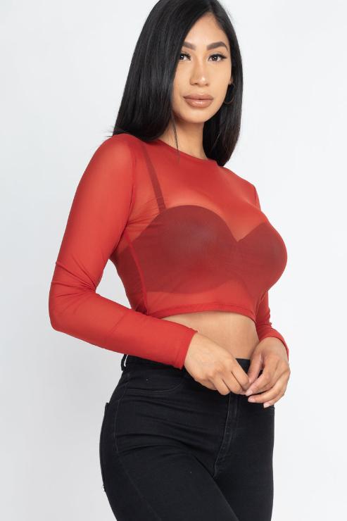 Sexy Sheer Mesh Long Sleeve Crop Top - Wholesale Capella Apparel