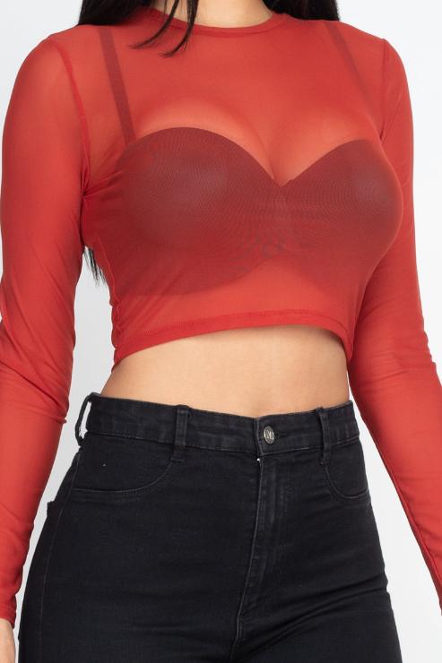 Sexy Sheer Mesh Long Sleeve Crop Top - Wholesale Capella Apparel